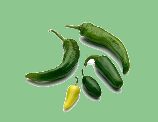 Vegetarian Chili